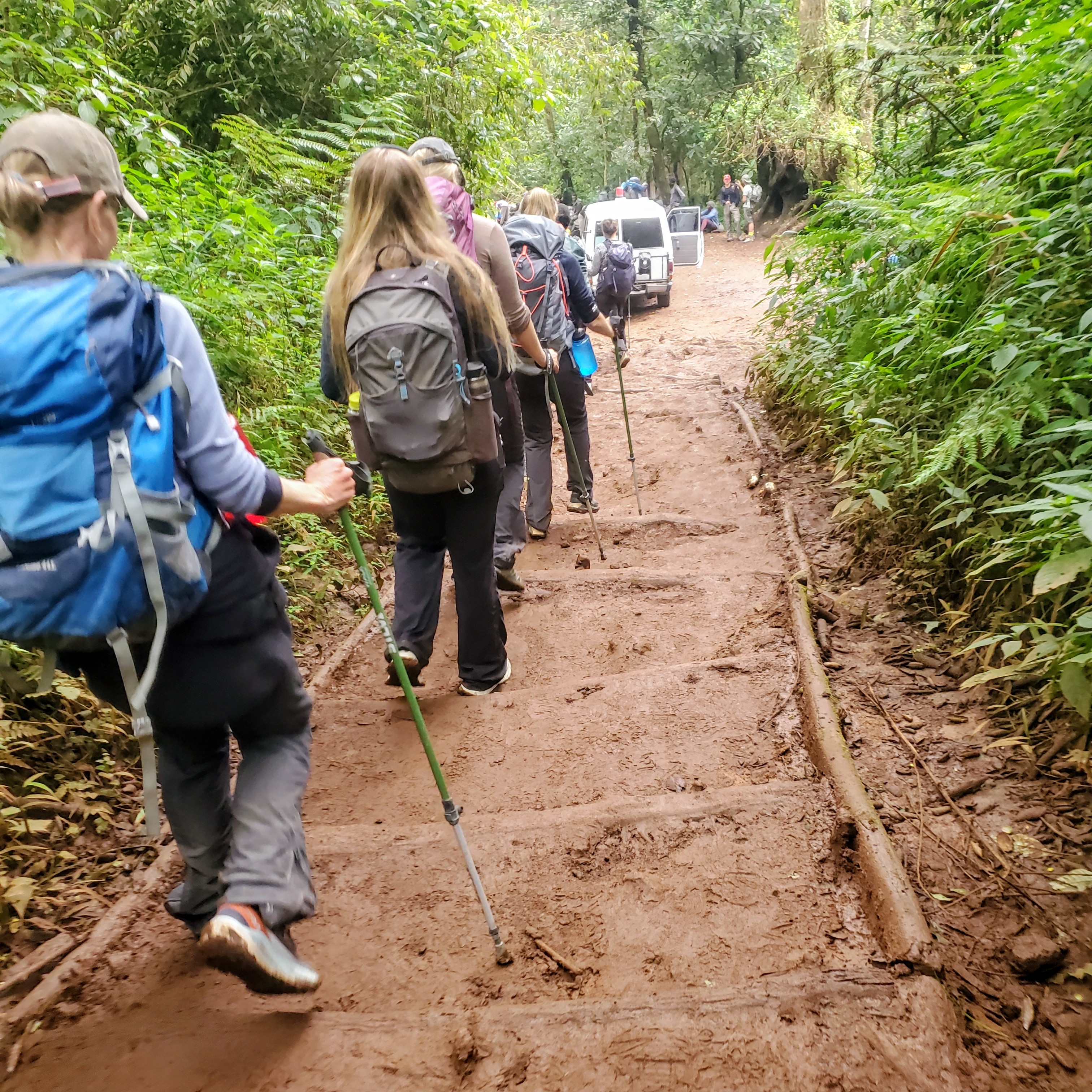   7 Day Standard  Kilimanjaro Climb Package & Cost Via Machame Route