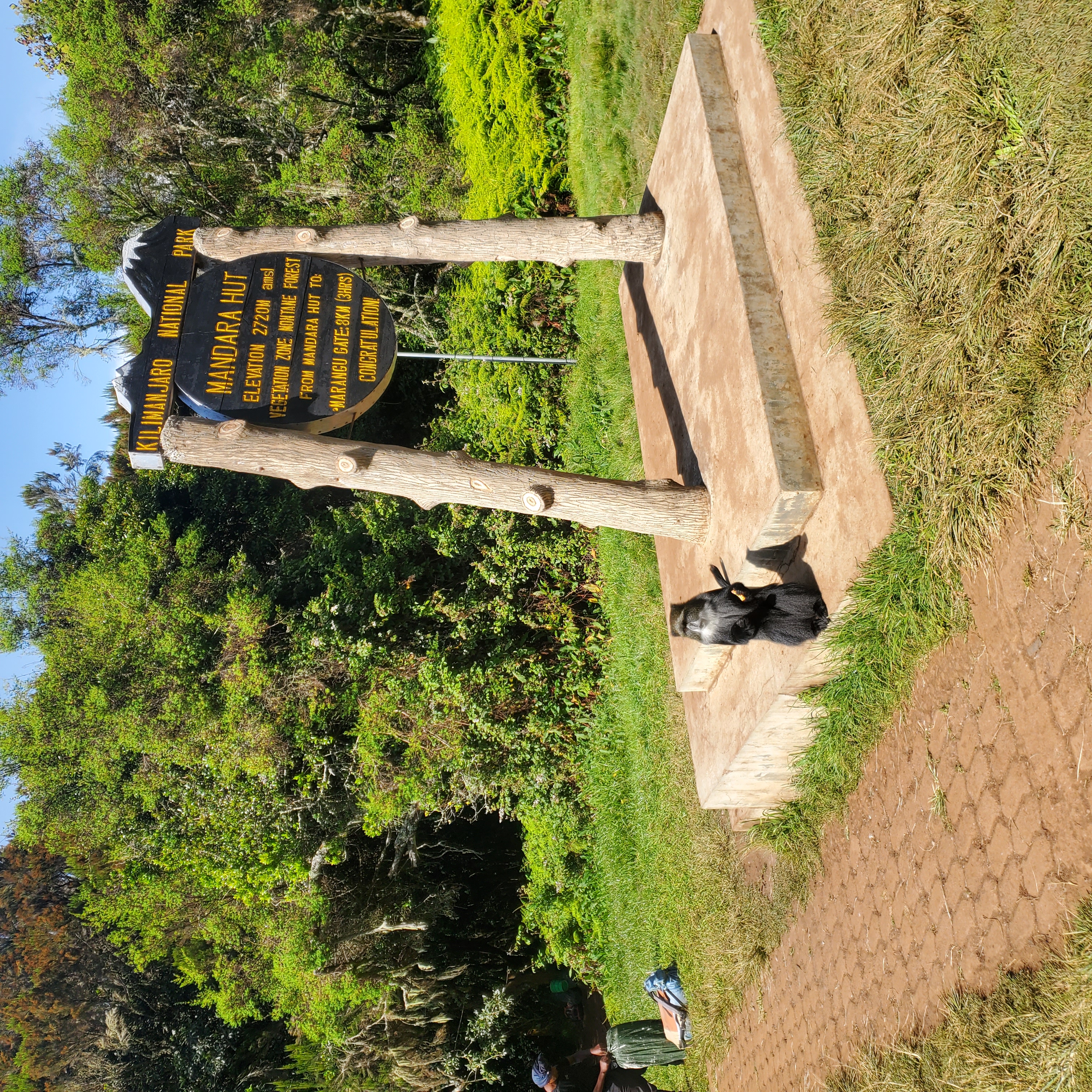 Marangu Day Hike | One-Day Mount Kilimanjaro Adventure
