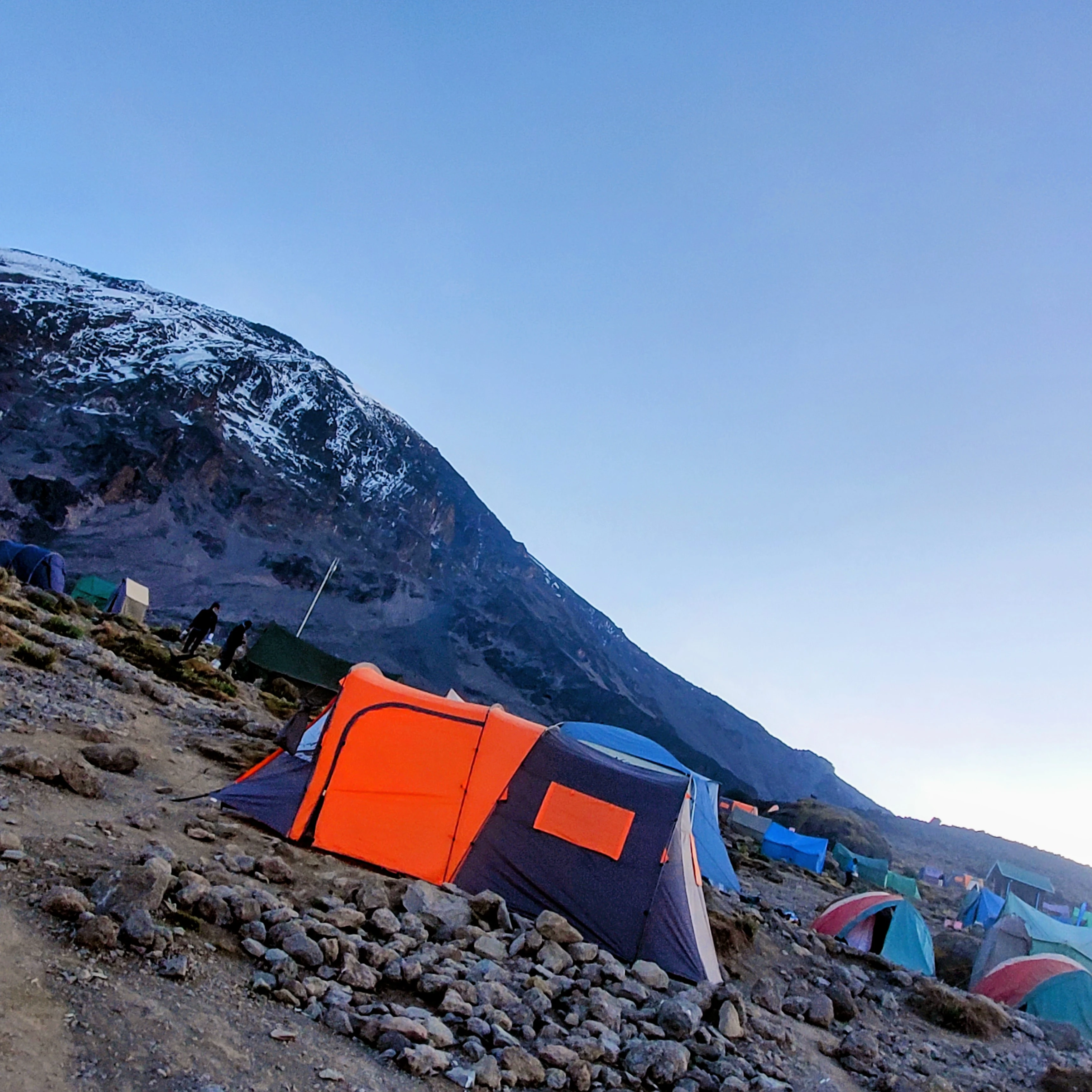 8 Days Lemosho Route Luxury Kilimanjaro Climb | Private & Group Trek and Cost