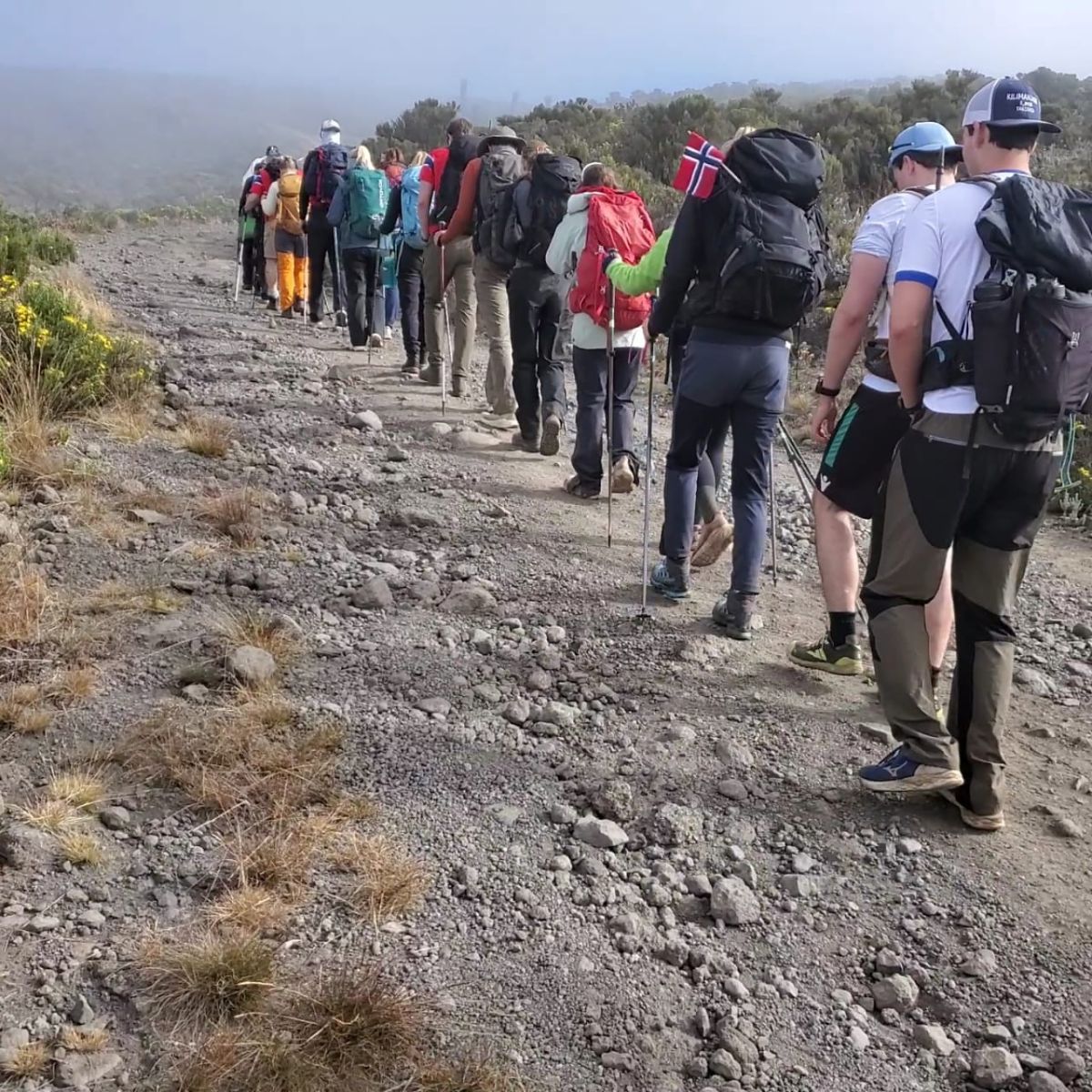 A group hiking together and enjoying the Kilimanjaro experience.