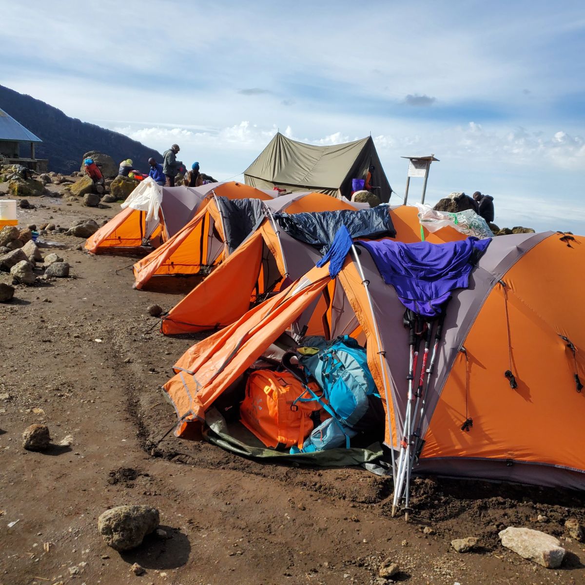 Clients tents at Barranco camp on Machame Route